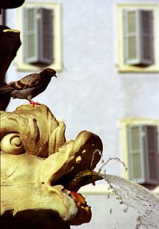 Piazza della Rotonda Fountain. Rome. Click for credits